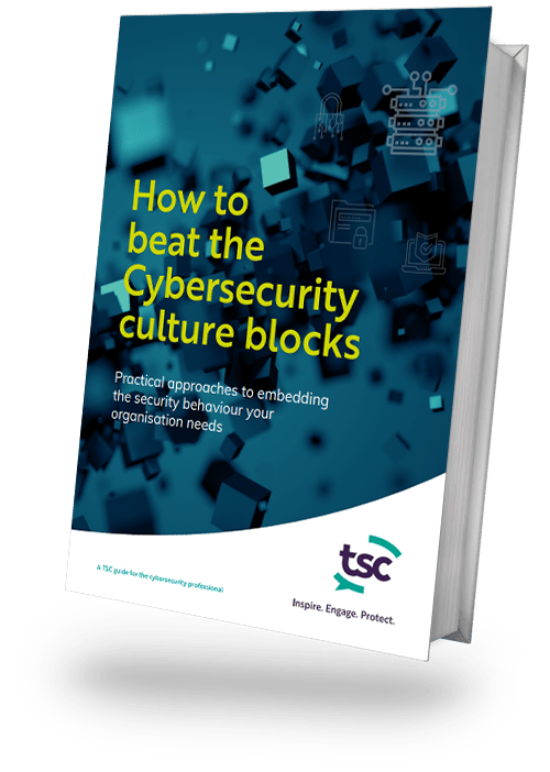 Culture Blocks eBook Web