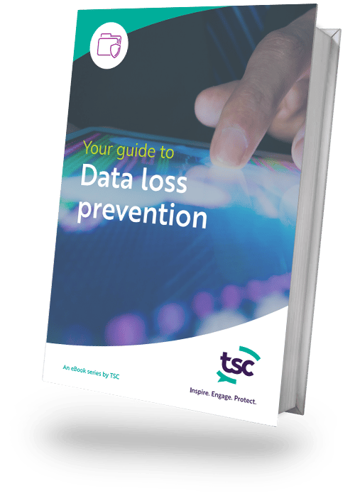 Data Loss eBook Web